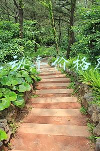 新日电动车价格及图片那款跑得最远(新日推出的2款电动车，智能化功能强，汽车级锂电池，保5年用10年)