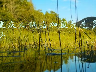 重庆火锅加盟费要多少;加盟重庆火锅需要多少加盟费