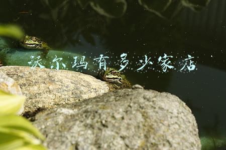 沃尔玛现在有多少家店(沃尔玛有多少家门店)