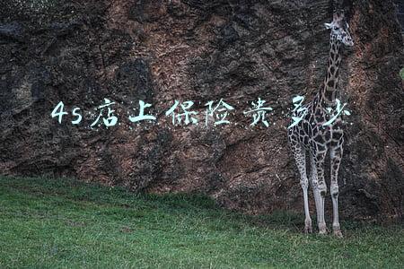 4s店买保险贵吗(在4s店买保险为什么那么贵)