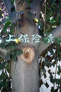 4s店的保险为什么那么贵（4s店保险为什么那么贵）