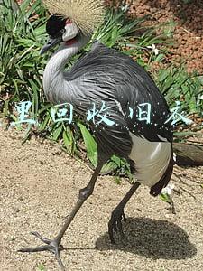 哪里回收旧衣服