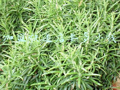 快递加盟费需要多少钱(加盟一个快递公司要多少钱)