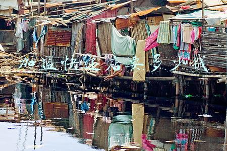 宠物店加盟需要多少钱-加盟宠物店要多少钱