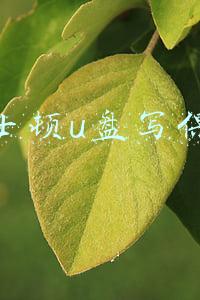 金士顿u盘写保护