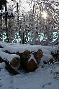 开个炸串店需要什么手续(炸串店需要办理什么手续)