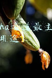 alpha通道最主要的用途
