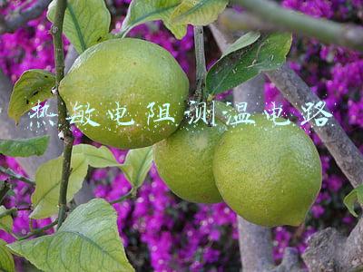 热敏电阻测温电路