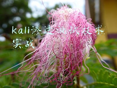 kali渗透测试技术实战