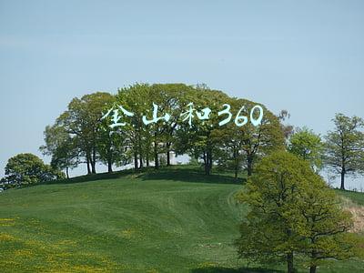 金山和360卫士哪个好(2018年手机安全软件排名：360第五，百度第二，最安全的是它？)