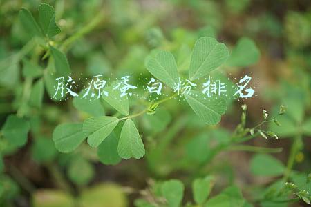 国内胶原蛋白粉排名(日本10大人气胶原蛋白产品)