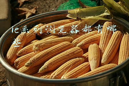 win10有ie浏览器吗(Win10怎么安装回原来的IE浏览器？)