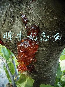 光明牛奶怎么样知乎(盲测 10 瓶鲜牛奶，我们发现这 3 瓶最值得买)