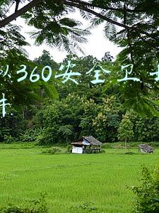 除了360安全卫士还有什么好用(功能比360强，并且还没广告！这个杀毒软件良心了)