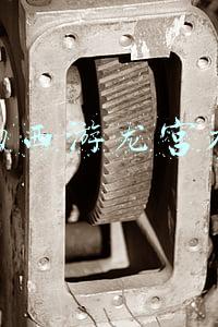 梦幻西游龙宫加点2021(2021年梦幻西游手游精锐平民龙宫养成)