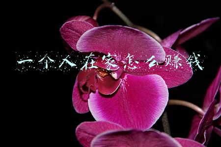 一个人在家怎么赚钱