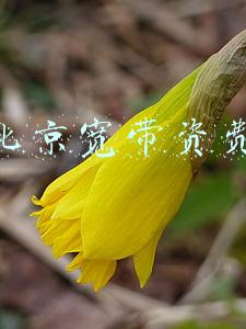 北京宽带资费