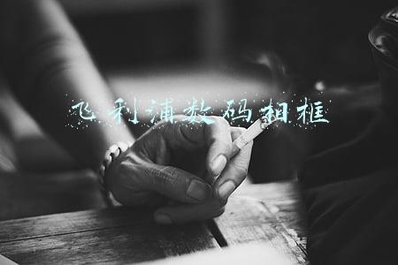 飞利浦数码相框