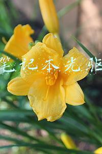 联想笔记本光驱怎么弹出来(「系统重装」联想电脑怎么在BIOS中设置从U盘或光盘启动)