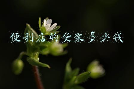 二手便利店货架批发市场_便利店二手货架在哪买
