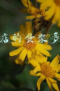 小便利店货架摆放图片（小便利店货架摆放）