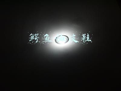 鳄鱼恤皮鞋哪里生产的(它曾是著名的“鳄鱼牌”，后被南极人收购，如今以卖吊牌为生)