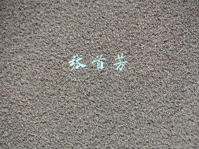 张首芳