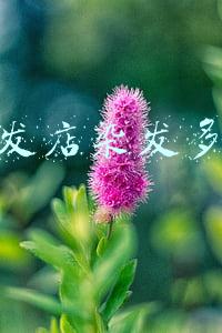 理发店染发要多少钱 理发店染发要多少钱一次