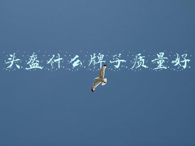 电动车头盔什么牌子质量好(10款电动车头盔测评报告：好乐宝、美团测试中严重破损，美团头盔薄如一层“皮”)