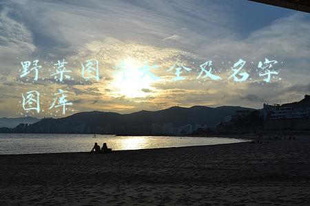 野菜图片大全及名字 图库