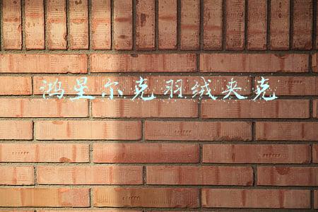 鸿星尔克羽绒夹克