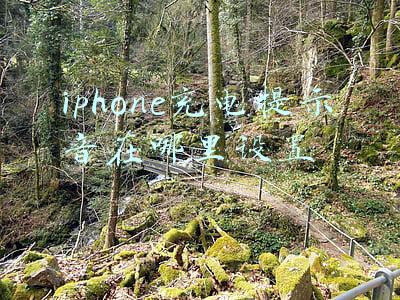 iphone充电提示音在哪里设置ios14(最适合小白的苹果全家桶配件推荐，及初步使用体验和实用功能盘点)