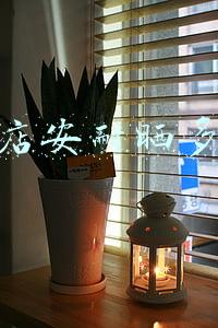 安耐晒价格要在多少才是正常《安耐晒价格专柜价格》