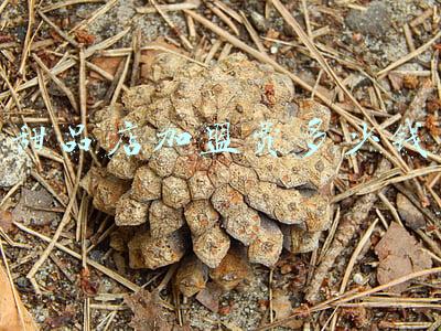 甜品店加盟费多少钱