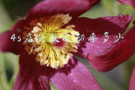 4s店贷款容易通过吗,4s店买车贷款容易通过吗