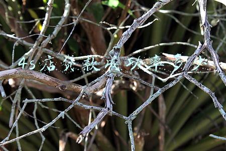 4s店 店内贷款:4s店内贷款怎么样