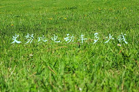 史努比电动车多少钱