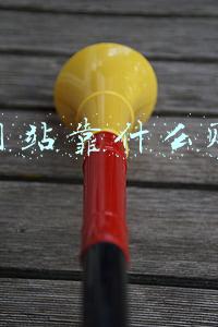 建什么网站赚钱(做什么网站最赚钱？)