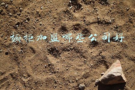橱柜加盟哪些公司好