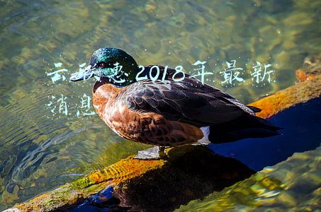 2020云联惠新进展5月份最新消息(从创新涉案民企，看利好政策落实，转机已经到来)