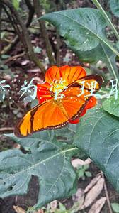 上网行为管理内网管理(新修订的《网络安全审查办法》，为网络安全做“加法”（附办法全文）)