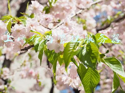 上网行为管理(打卡签到、管理上网行为 职场数字化监控边界在哪)