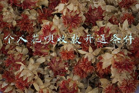 个人花呗怎么开通花呗收款(支付宝商家花呗收款码怎么开通 申请流程步骤与所需资料条件)