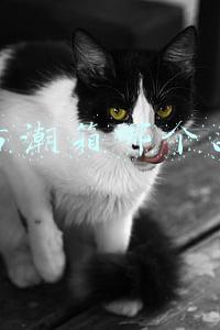 电子防潮箱哪个品牌好