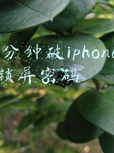 iphone锁屏密码破解(苹果手机密码忘记了怎么解除密码？很简单，只需这样操作)