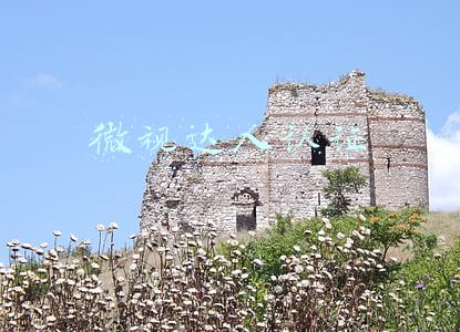 微视达人认证入口(微视怎么认证？微视认证有什么条件？2019微视认证达人，获取补贴)