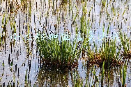 盱眙小龙虾加盟费多少：盱眙小龙虾加盟