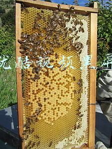 优酷视频黑屏