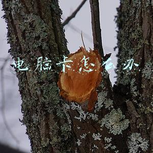 如何解决电脑卡顿(电脑总是卡顿怎么办？试试这4个优化设置，让电脑性能瞬间翻倍)