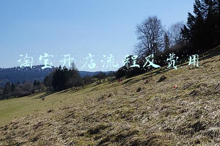 淘宝开店流程及费用